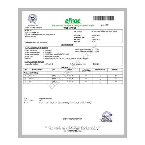 Efrac - MuscleBlaze BCAA Pro Intra-workout with BCAA Electrolytes Citrulline Malate & Glutamine, 0.99 lb Fruit Splash Efrac - MuscleBlaze BCAA Pro Intra-workout with BCAA Electrolytes Citrulline Malate & Glutamine, 0.99 lb Fruit Splash