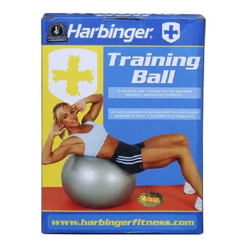 Harbinger Training Gym Ball (365510),  Purple  55 cm 