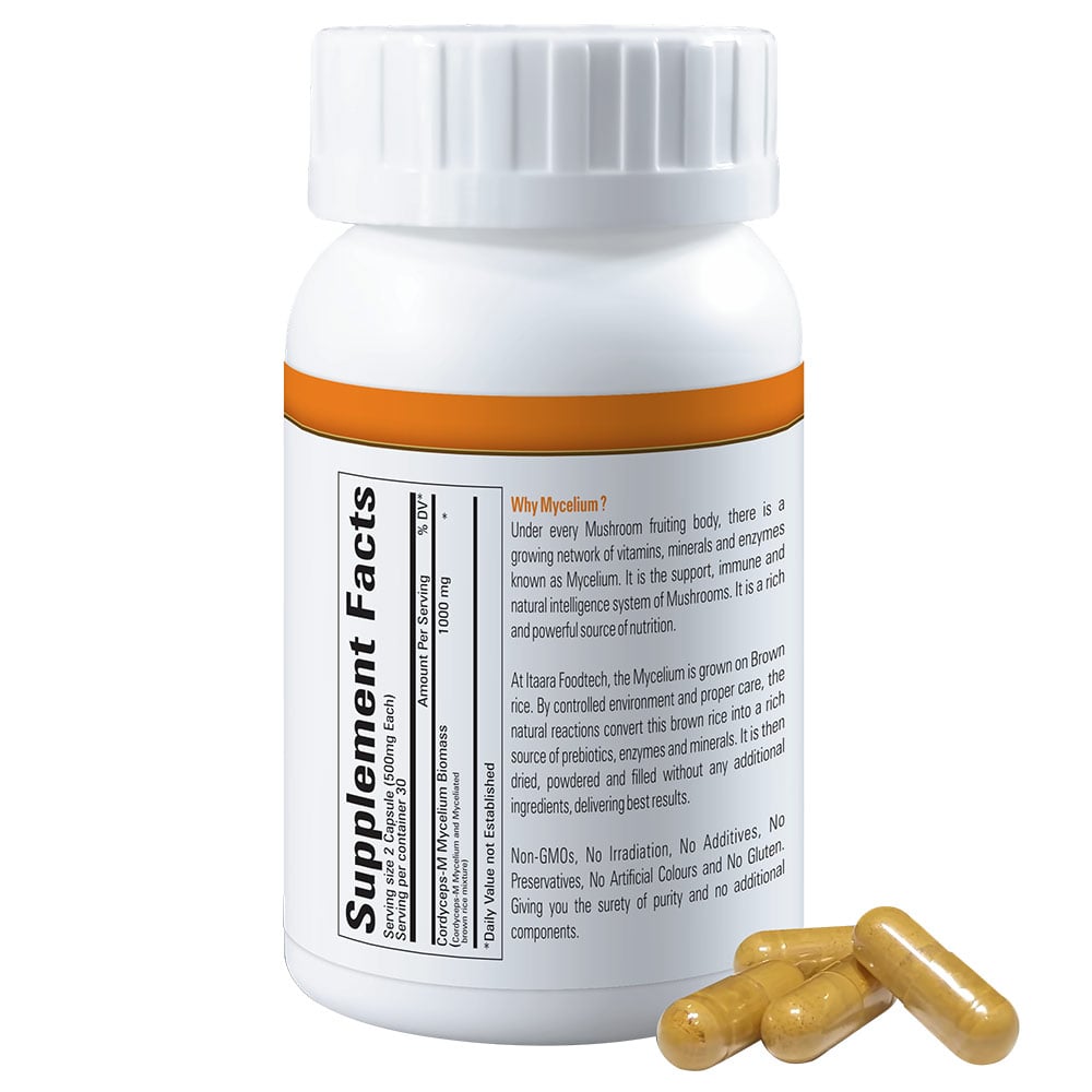 supplementinfo - CordyGold Cordyceps Mycelium,  60 capsules 