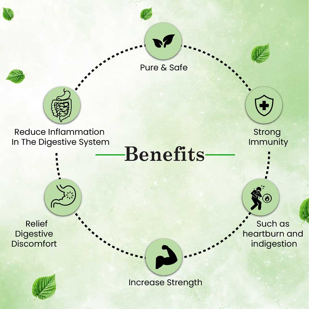 2 - Cipzer Ginger,  60 capsules 