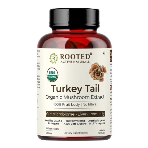 1 - Rooted Active Naturals Turkey Tail Organic Mushroom Extract,  60 veggie capsule(s) 