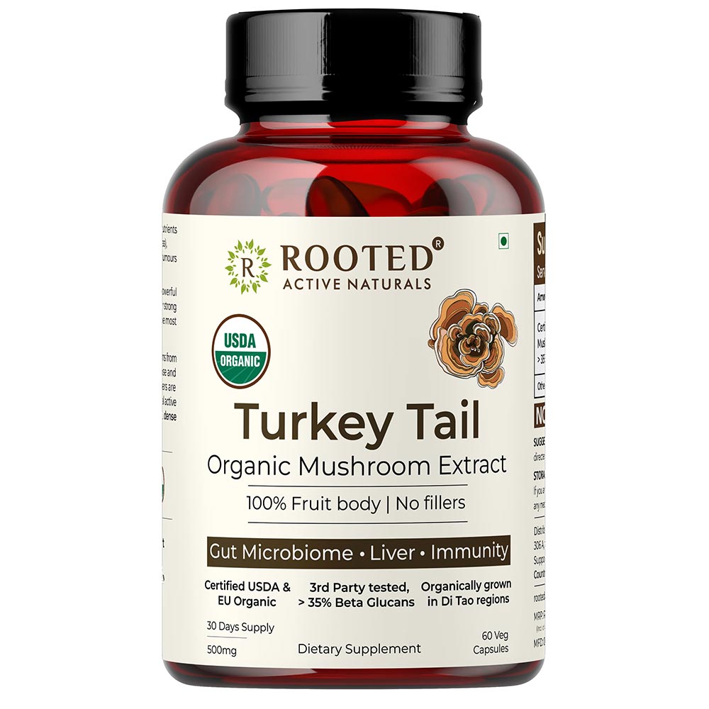 1 - Rooted Active Naturals Turkey Tail Organic Mushroom Extract,  60 veggie capsule(s) 