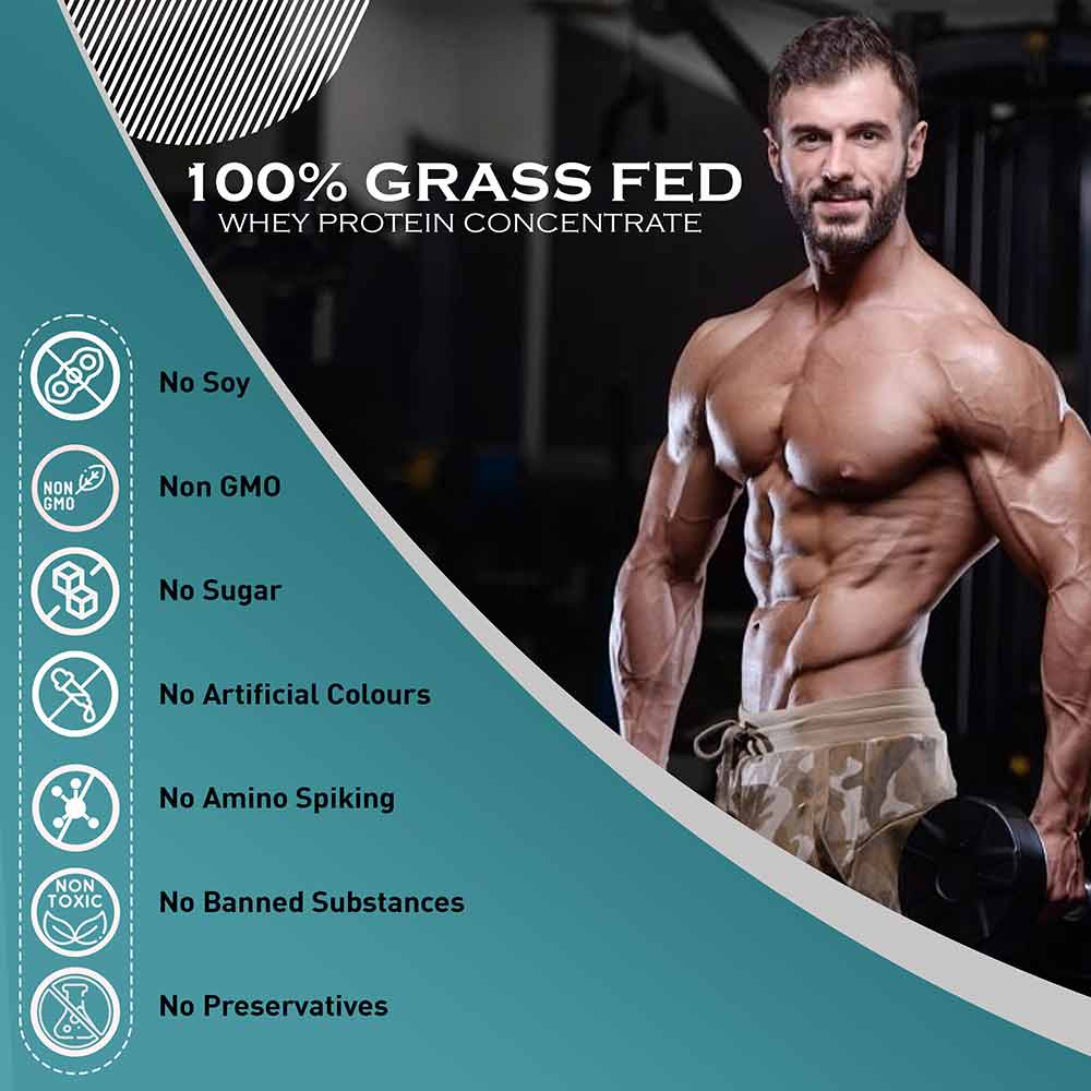 6 - Nakpro Grass Fed Whey Protein Concentrate,  2.2 lb  Banana (Pack of 2) 