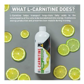 levocarnitine vs l-carnitine L-Carnitine main image 0