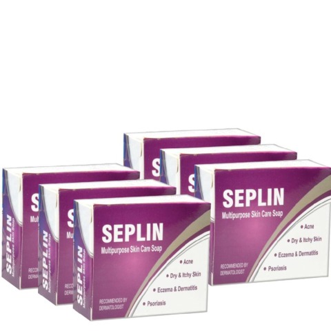 West Coast Seplin Soap Multipurpose Skin Care (Pack of 6),  75 g  for All Skin Types 