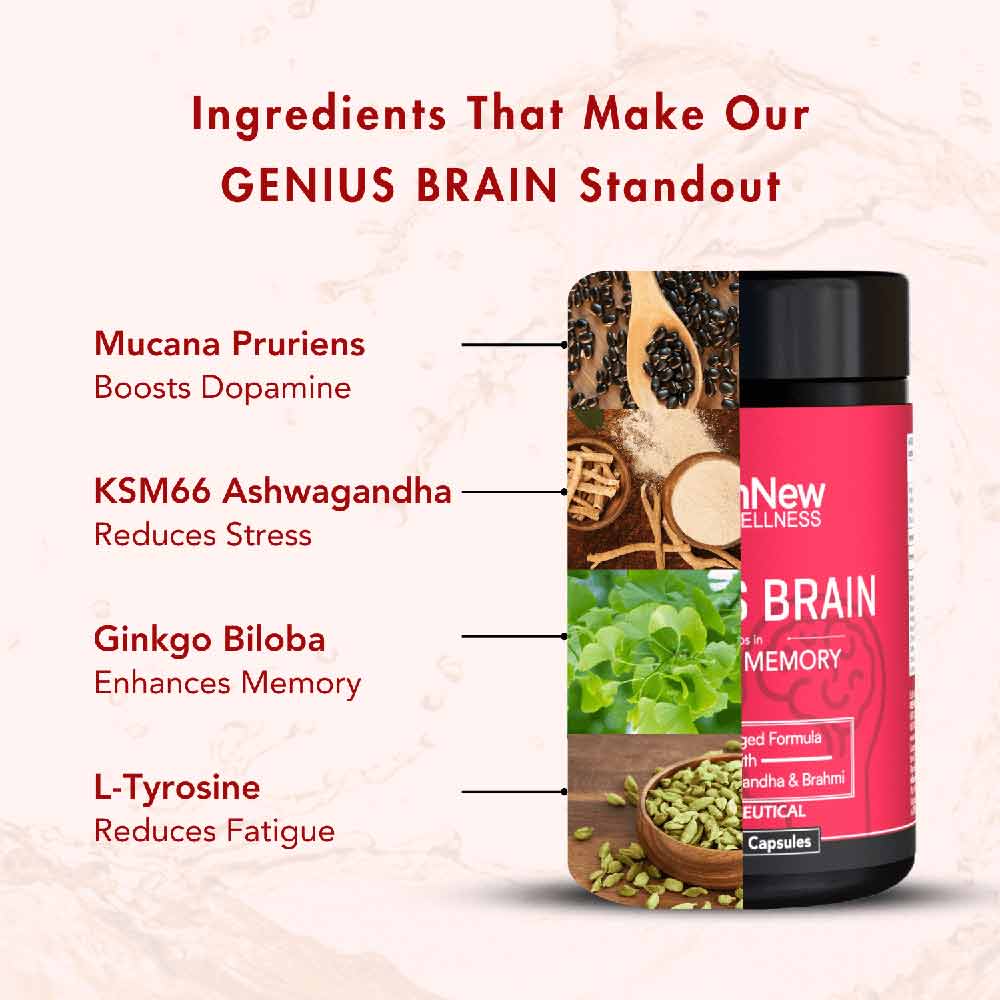 3 - WishNew Wellness Genius Brain,  120 capsules 