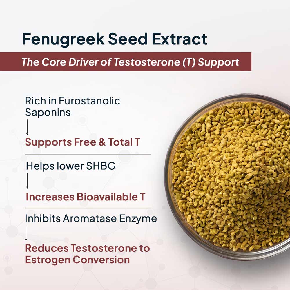 10 - Miduty TestoUP 5X,  60 capsules 
