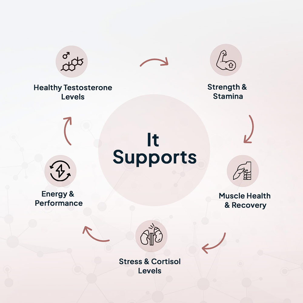 8 - Miduty TestoUP 5X,  60 capsules 