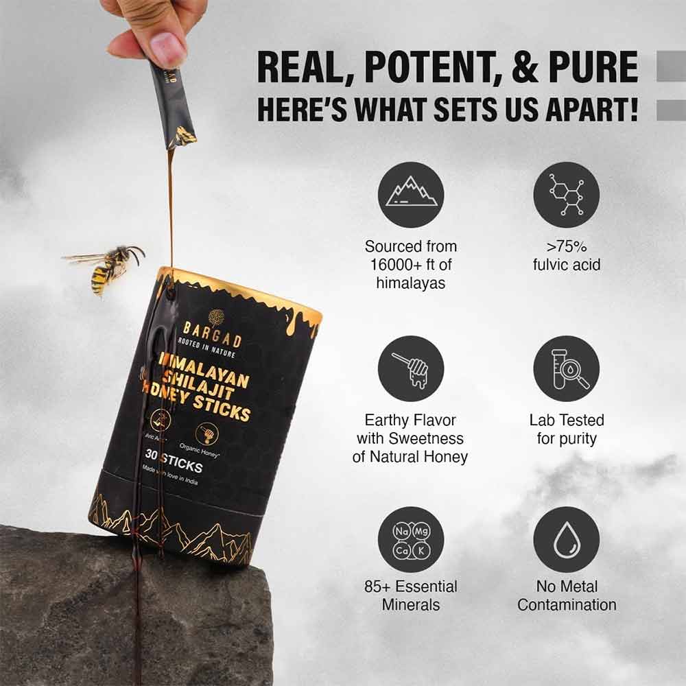3 - Bargad Himalayan Shilajit Honey Sticks Classic Flavour,  30 Stick(s) 