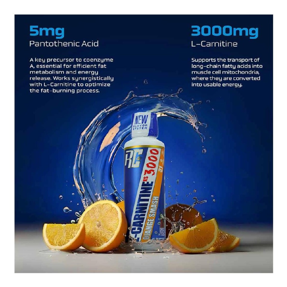 l carnitine 3000 ronnie coleman Ronnie Coleman L-Carnitine XS 3000 for Lean Muscle Support Mixed Berry: Buy  bottle of 473.0 ml Liquid at best price in India