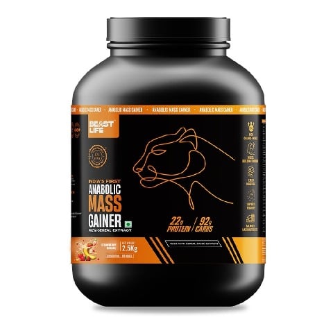 1 - BeastLife Anabolic Mass Gainer,  5.5 lb  Strawberry Banana 