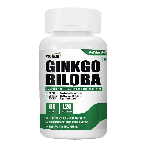 1 - NutriJa Ginkgo Biloba Extract 120mg, 60 capsules
