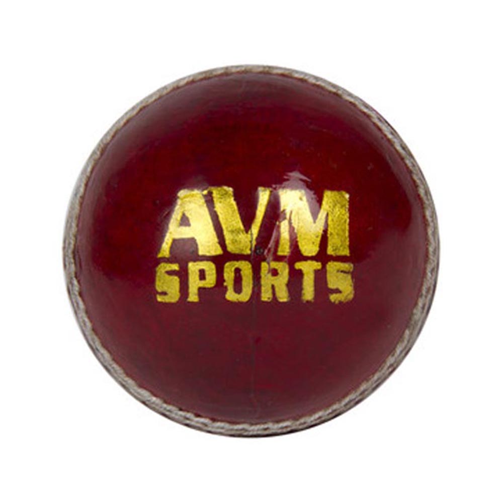 AVM Paxton Leather Cricket Ball,  Red  Ball  Pack Of 2 