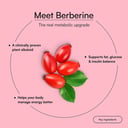 7 - HK Vitals 3x Metabolic  ACV + Berberine Effervescent,  30 tablet(s)  Mixed Berry (Pack of 2)