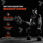 6 - Fuel One Whey Max,  2.2 lb  Kesar Thandai