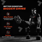 4 - Fuel One Whey Max,  4.4 lb  Mango