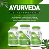 https://img2.hkrtcdn.com/13505/prd_1350421-MuscleBlaze-Ayurveda-for-Performance-MuscleHerb-with-Ashwagandha-Shatavari-Safed-Musli-60-tablets-Unflavoured_o.jpg