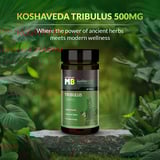 https://img2.hkrtcdn.com/35876/prd_3587581-Koshaveda-Gokshura-500mg-by-MuscleBlaze-60-tablets_o.jpg