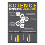 https://img2.hkrtcdn.com/45225/prd_4522441-MuscleBlaze-Biozyme-Performance-Whey-4.4-lb-Rich-Chocolate_o.jpg