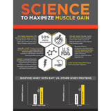https://img2.hkrtcdn.com/45330/prd_4532961-MuscleBlaze-Biozyme-Whey-PR-4.4-lb-Chocolate-Fudge_o.jpg