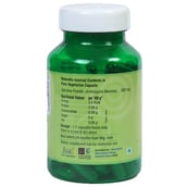 back - Paithan Eco Foods Spirulina,  90 capsules 