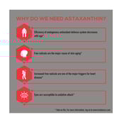 WheyDoWeNeed - TrueBasics Astaxanthin with 4mg AstaReal,  60 capsules 