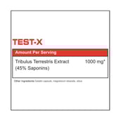 supplement - Protein Scoop Test-X,  90 capsules  Unflavoured 