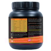 supplementinfo - Ayurwin Nutrigain Herbo Whey,  0.5 kg  Chocolate 