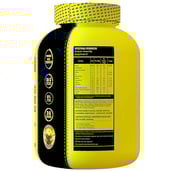 supplementinfo - Absolute Nutrition Mass Fusion with Barley Malt Extract,  6.6 lb  Chocolate Toffee 