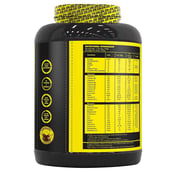 supplementinfo - Absolute Nutrition Weight Gainer,  2.2 lb  Chocolate 