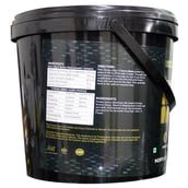 supplementinfo - Tara Nutricare Amino Mass,  8.8 lb  Vanilla 