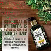 Banner - Himalayan Organics Bhringraj Shampoo,  300 ml  Promotes Hair Growth 