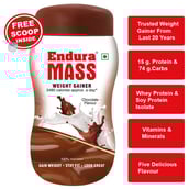 Endura Mass,  1.1 lb  Chocolate 
