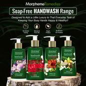 Benefits - Morpheme Remedies Hand Wash,  Shea & Cocoa Butter  250 ml  Anti Bacterial 