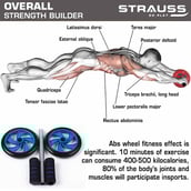 3 - Strauss Double Wheel Ab Exerciser with Knee Pad,  Blue  Free Size 