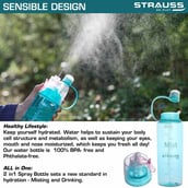 2 - Strauss Water Mist Spray Bottle,  Blue  600 ml 