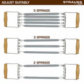 4 - Strauss Chest Expander with 5 Springs,  Silver  Free Size 