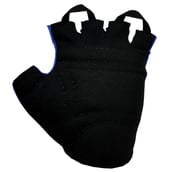 KOBO Weight Lifting Gloves (WTG-05), Blue Large