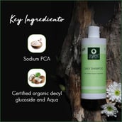 ingredients - Organic Harvest Daily Shampoo,  500 ml  Anti-Dandruff 