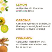 benfits - Akiva Weight Management Lemon Honey Cinnamon Pack of 30,  Natural  40 ml 