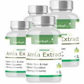 2 - Herballyfe Amla Extract 800mg (Pack of 4), 30 capsules