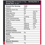 supplement - SNT Super Size Gainer, 8.8 lb Chocolate