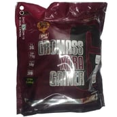 SNT Gromass Xtra Gainer,  12 lb  Chocolate 