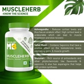 13 - MuscleBlaze Ayurveda for Performance - MuscleHerb with Ashwagandha, Shatavari & Safed Musli,  60 tablet(s)  Unflavoured 