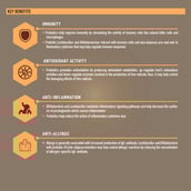 2 - TrueBasics Pre Pro Biotics Immunity,  30 capsules  Unflavoured 