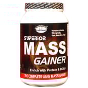 GDYNS Superior Mass Gainer,  1.1 lb  Choco 