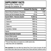 supplement - ANS Performance QUENCH BCAA,  2.75 lb  100 Servings  Superfruit Splash 