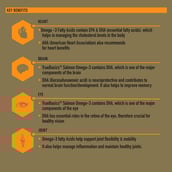 5 - TrueBasics Slamon Omega EPA 330 DHA 220,  90 softgels 