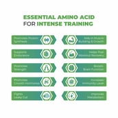 7 - Muscle Monk Intense Mass Gainer with L Glutamine 100g Unflavoured, 2.2 lb Royal Chocolate