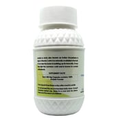 supplementinfo - VirogaLife Amlaki 500 mg,  90 capsules 